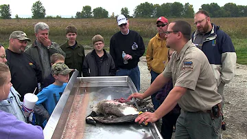 Canada Goose Processing from Field to Table | Indiana DNR