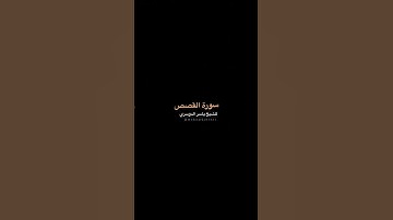 سورة القصص _ للشيخ ياسر الدوسري ❤️