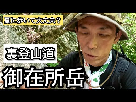 Mt. Gozaisho x Summer] I climbed from the back trail and took a