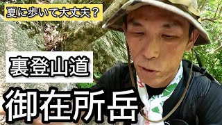 鈴鹿　私達の山　グリンデルワルト編 Mt. Gozaisho x Summer] I climbed from the back trail and took a