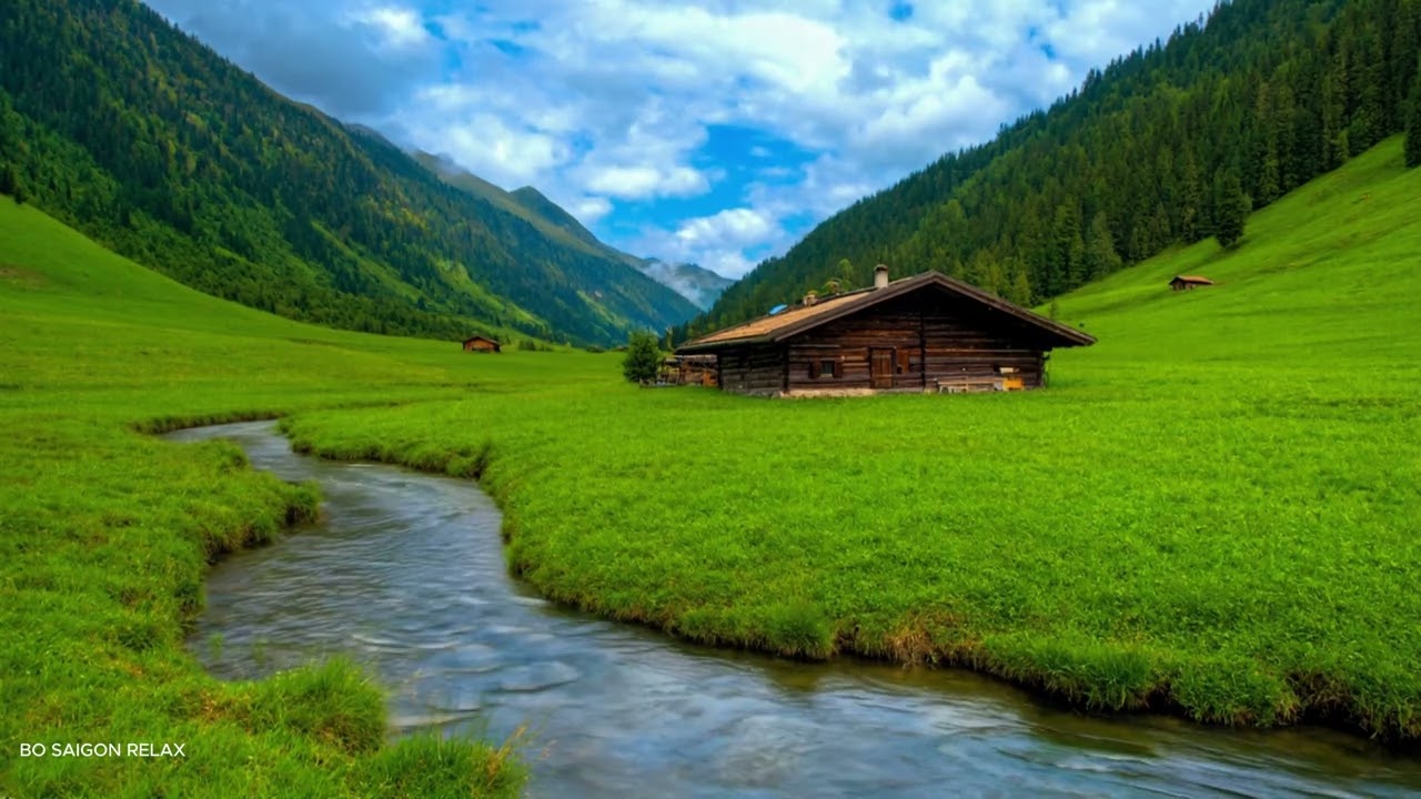 Stress-Free Zone: Soft Music to Reset Your Day 🌅✨