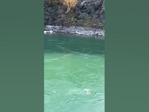 Белуха фильм восхождение