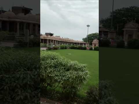 #ytshorts #trading #youtuber #travel #pyar #love #kabootar #mosam #shortvideo