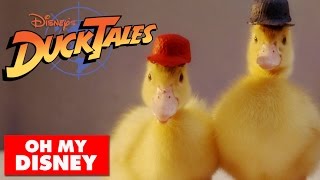 DuckTales Theme Song With Real Ducks | Oh My Disney IRL