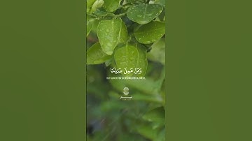 ﴿یَـٰقَوۡمِ إِنَّمَا هَـٰذِهِ ٱلۡحَیَوٰةُ ٱلدُّنۡیَا مَتَـٰعࣱ ﴾ [غافر ٣٩] // القارئ هيثم الدخين