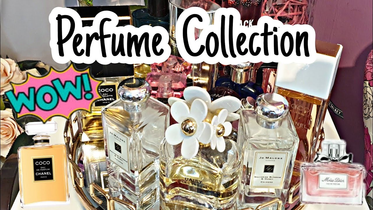 Perfume Collection High End &  Affordable | chenkuting  #shortvideo
