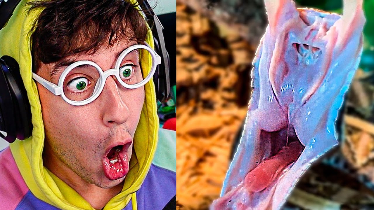 COSAS QUE NO SABÍAS HACE 5 MINUTOS #4 - tekendo