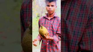 कटहल की सब्जी | jackfruit pakoda recipe | shorts viral
