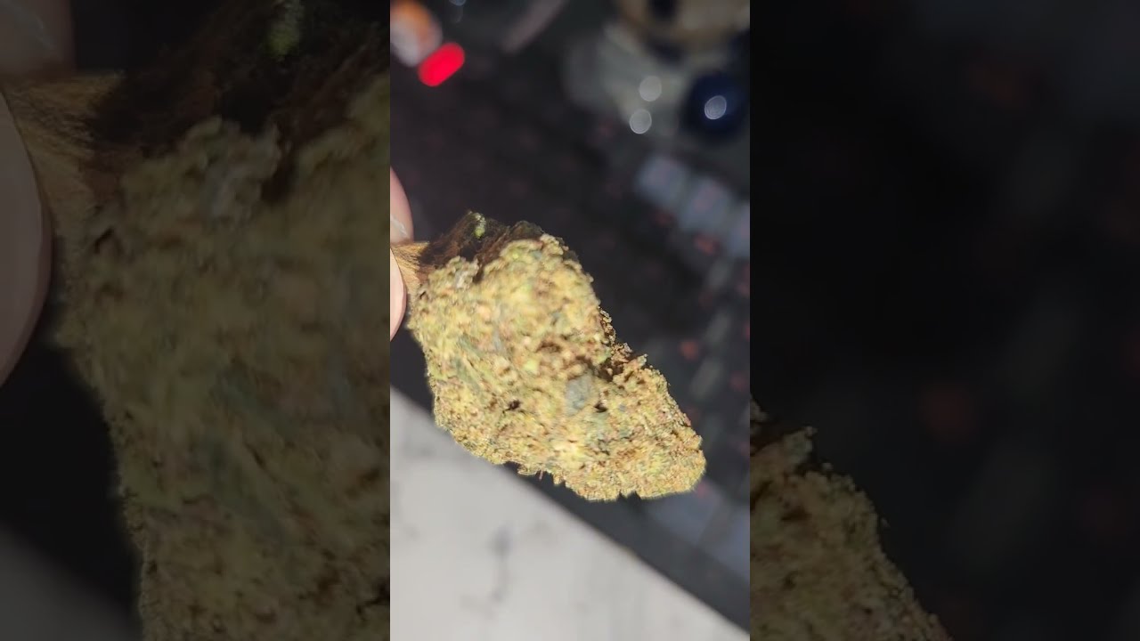 $50 an ounce Michigan legal cannabis Jelly Donut, up close #cannabiseducation