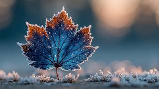 Frosted Leaf Winter Worship Music ~ Peaceful Instrumental for Prayer & Devotion