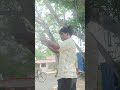 #youtubeshorts #lifeisbutadream #funny #ihavethisthingwithplants #funny #vlog