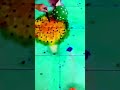 Pooping ballons🎈🎈#asmr#colour reverse asmr#satisficing sound#relexing sound#1million views