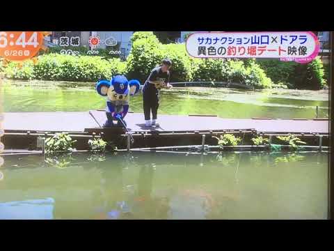 サカナクション山口さんドアラ釣り堀デートinめざましテレビ