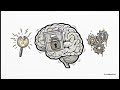 The Spectrum of Test Anxiety