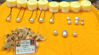 सिद्धेश्वरी पारद गुटिका के लाभ और नकली गुटिका का रहस्य || parad gutika || vikas mangal ||7014415950 screenshot 2
