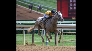 Sandman Wins at Saratoga 8/10