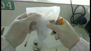 Pemeriksaan Cacing Metode Harada Mori