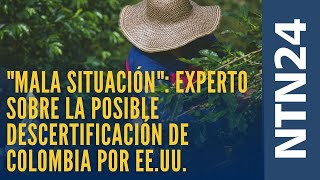Mala Situación Experto Sobre La Posible Descertificación De Colombia Por Parte De Estados Unidos