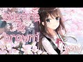 سكر وكعك أغنية أجنبية أكثر من رائعة Sugar Brownie AMV Anime MV 