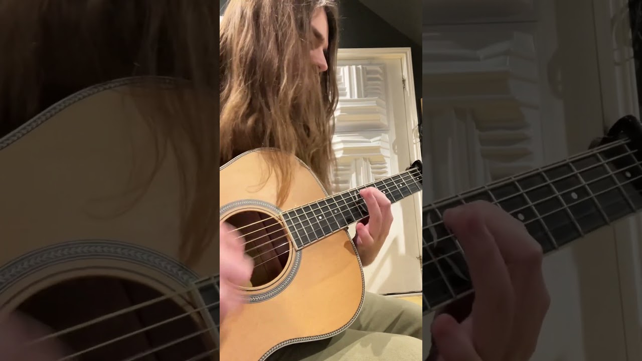 Everyone Likes Midwest Emo Acoustic