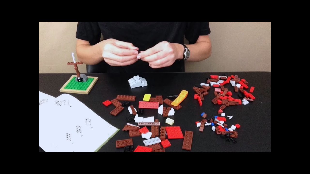 LEGO IDEAS | Birds 21301 | TIMELAPSE BUILD