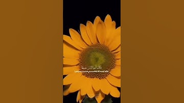 سوره مبارک(المائده)❤️آیه 32 بر فرزندان بنی اسرائیل مثل این است که همه مردم را کشته باشد سبحان الله