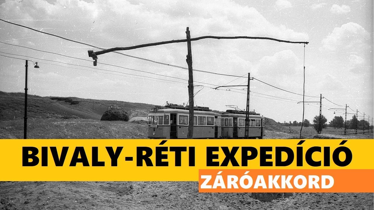 a test mérgezése parazitákkal