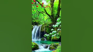 ايات خاشعة من سورة النور#اكسبلور #المصحف #flowers #لايك #قران_كريم
