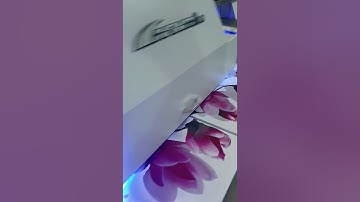 TRANH DÁN TƯỜNG 3D, TRANH TREO TƯỜNG CAO CẤP SẢN XUẤT TẠI TRANH 3 MIỀN!