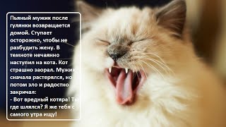 Анекдоты про котов ч 2 Коты, кошки, котята Домашние питомцы Котэ Саратовский Юмор Анекдоты про котов ч 2 Коты, кошки, котята Домашние питомцы Котэ Саратовский Юмор