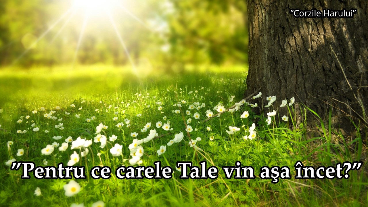 ”Pentru ce carele Tale vin aşa încet?” cântare creștină 2026