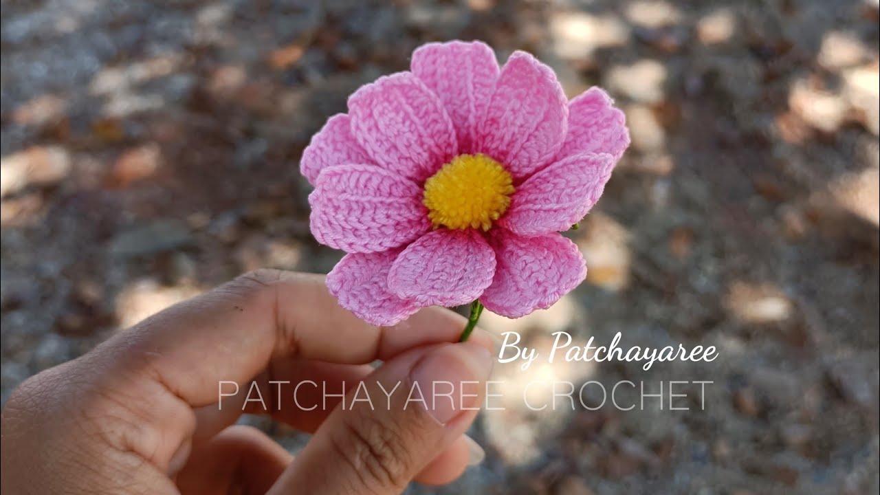Crochet cosmos flower tutorial. ( สอนถักดอกคอสมอส โครเชต์ )