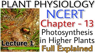 NCERT Ch-13 Photosynthesis in higher plants Class XI Plant Physiology for Boards and NEET/AIIMS