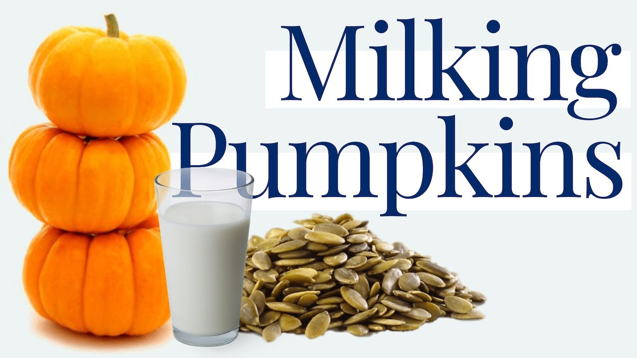 Pumpkin Seed Milk Benefits Unlock Nature's Nutrient Powerhouse 🎃🥛