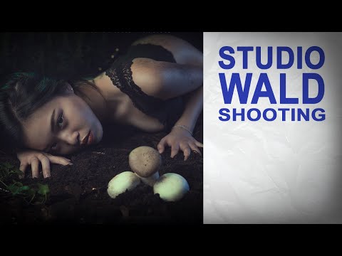 Studio Waldshooting im Winter - Ob das wohl klappt?