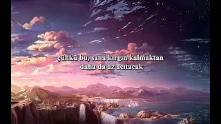 BTS - Spring Day (Türkçe Çeviri)