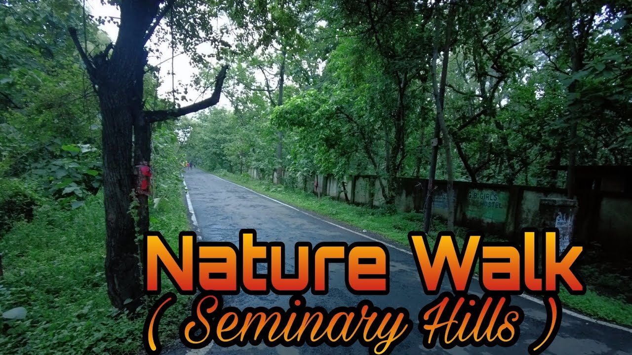 Walking in the Nature | Seminary Hills