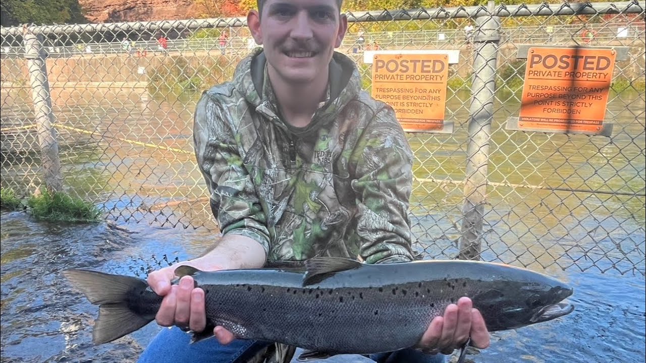 Atlantic Salmon caught!! Oak orchard Salmon fishing Report #12