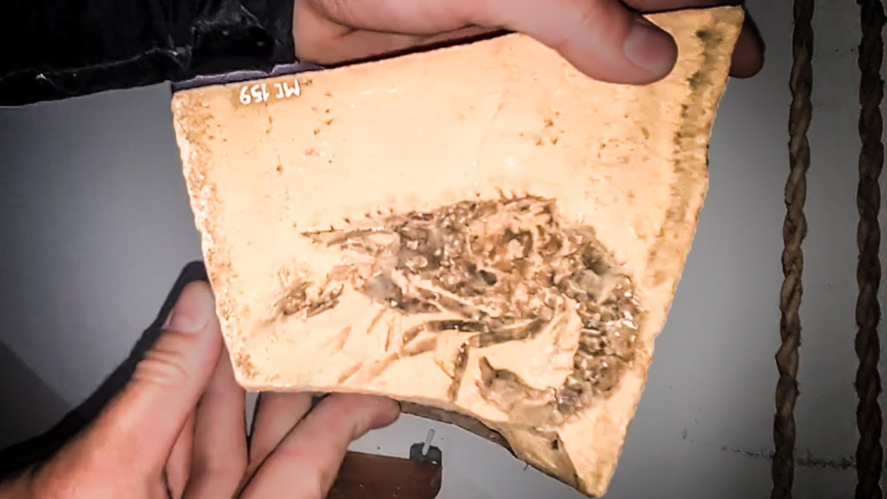 COLONIA CUSHAMEN - Capitulo 07 || MUSEO