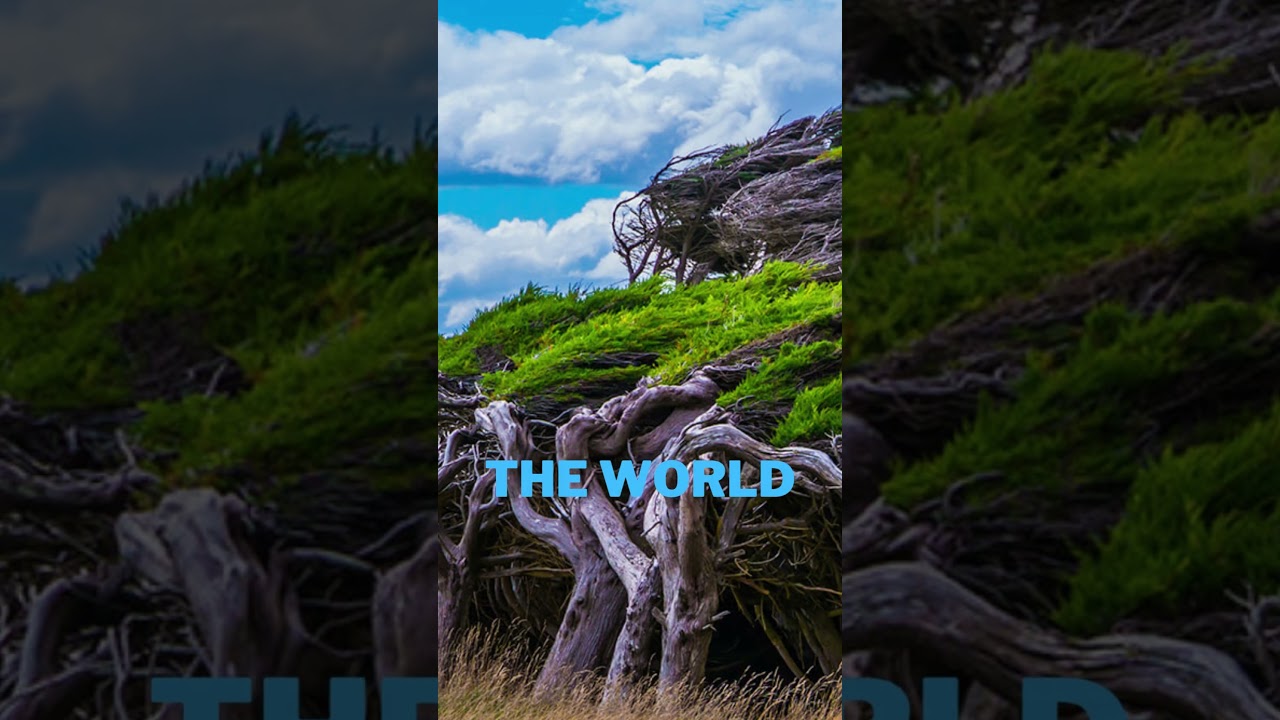 Slope Point Windy Spot