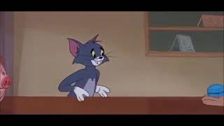 story wa keren dan kekinia versi tom and Jerry