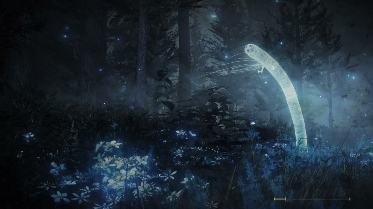 2025/12/29 魂系新手zzz 邦尼斯請進來取暖【雙子座婆奴】