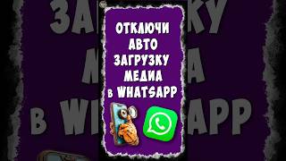 Как Отключить Автозагрузку Фото и Видео в WhatsApp