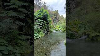 Un gran paraíso en Veracruz💦 nace el agua en actopan