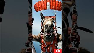 it's time for skydiving friends #Shorts #funny #cat #cute #animals #comedy