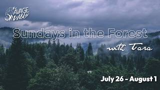 🌲Sundays in the Forest: Storytime + Herbal Ally + Q&A