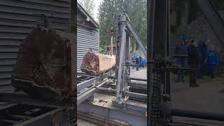 #steam #steamsawmill #sawmill #wood #woodworking #woodwork #tree #oldschool #19thcentury