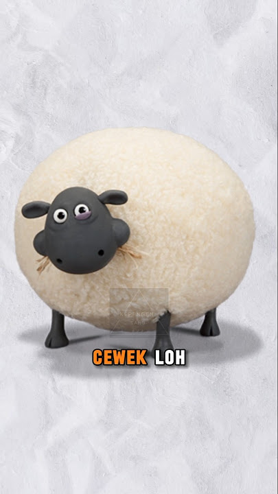 Domba gede yang ada di kartun shaun the sheep ternyata cewek 🤔#shaunthesheep#cartoon#shorts