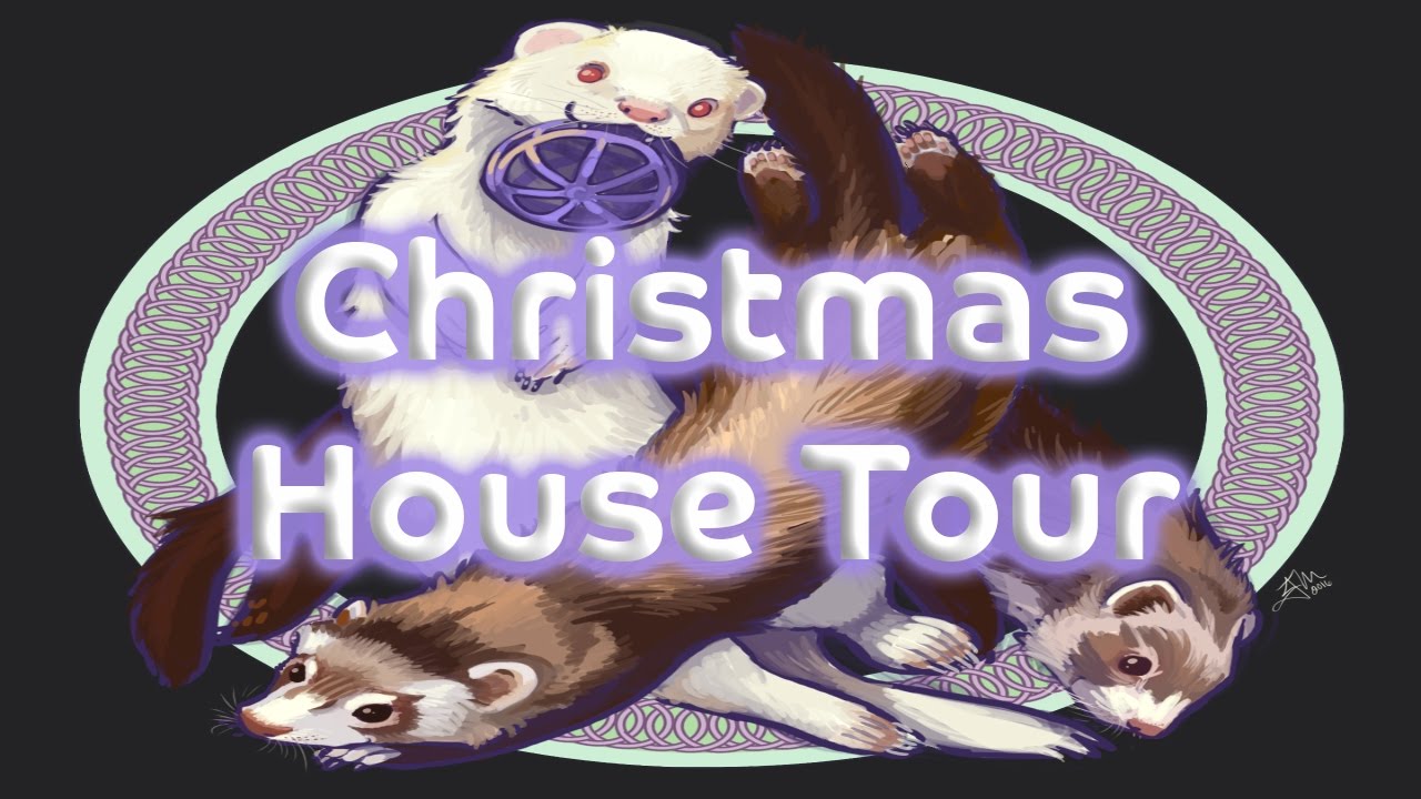 Christmas Ferret Cam & House Tour YouTube
