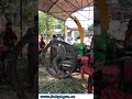 Silage Machine | تیز کٹنگ، بہترین سائیلج کی تیاری | #DairyFarm #Livestock #CattleFeed #farming 🌱🐄